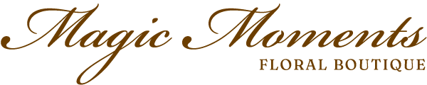 Magic Moments in Dunboyne Logo