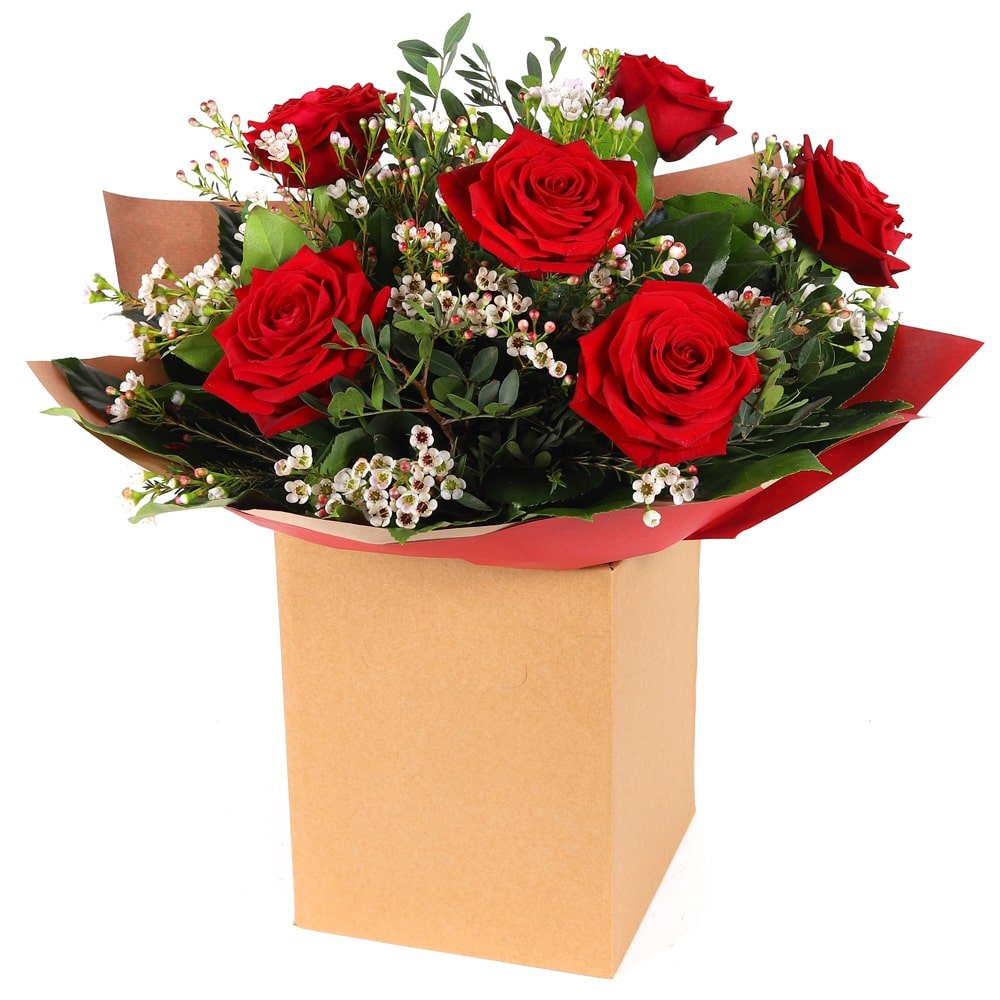 6 Red Roses