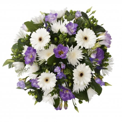 Posy - A beautifully handcrafted funeral posy designed to offer comfort, sympathy, and a heartfelt expression of remembrance. Featuring a soothing combination of soft white and delicate lavender tones, complemented by fresh greenery, this elegant circular tribute symbolises peace, love, and cherished memories.

Traditionally arranged in a compact, rounded design, this posy is a thoughtful choice for funeral services, memorial ceremonies, and celebrations of life. Its graceful appearance provides a meaningful way to honour a loved one and express sincere condolences to family and friends.